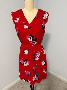 41 Hawthorn Red Floral V-Neck Mini Dress SZS